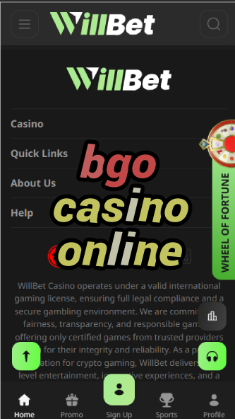 BGO Casino Online - Premium Online Casino-casinoorder.vip